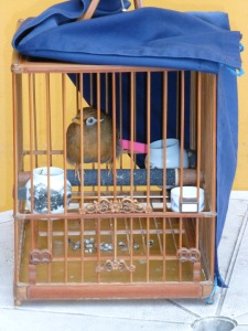 2nd caged bird