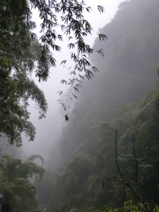 one misty, moisty morning along the Yangzte